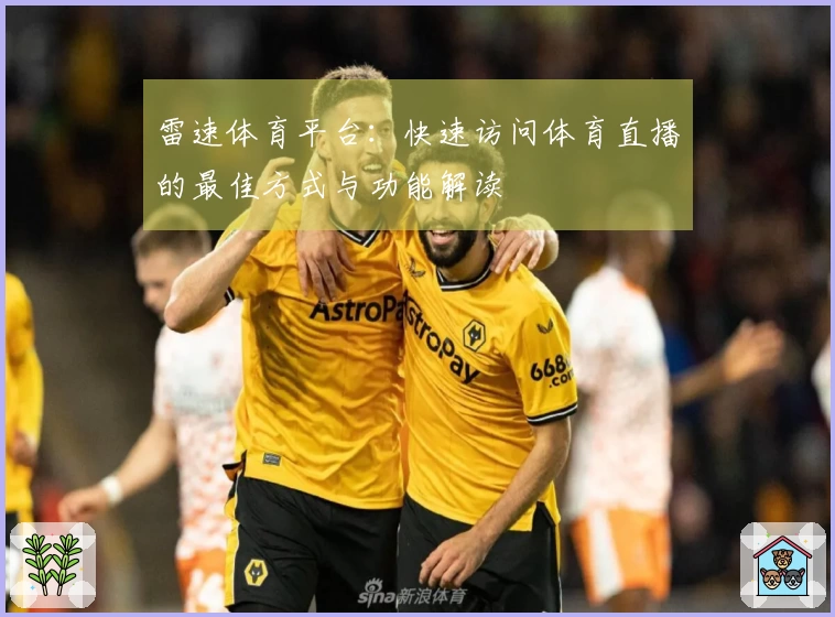 雷速体育平台：快速访问体育直播的最佳方式与功能解读